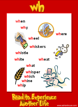 Wh phonics poster - wh wordlist - wh spelling list - wh word family poster